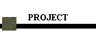 PROJECT